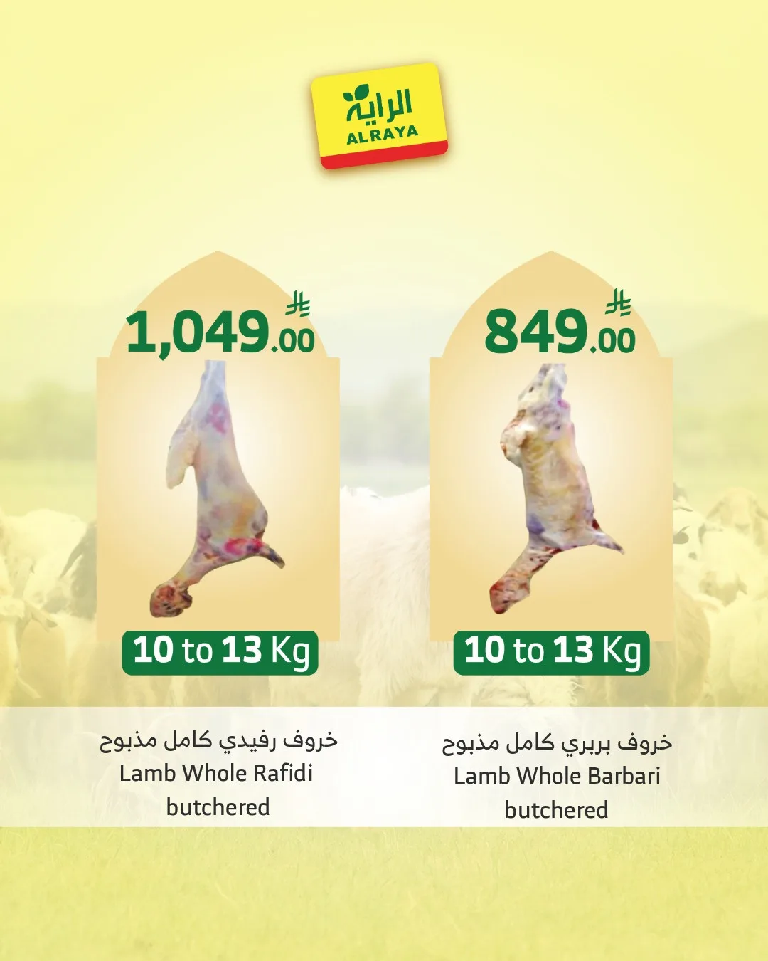 Eid Sacrifice - Jeddah & Makkah from Al Raya until 25th May - Al Raya KSA Offers & Promotions — page 2