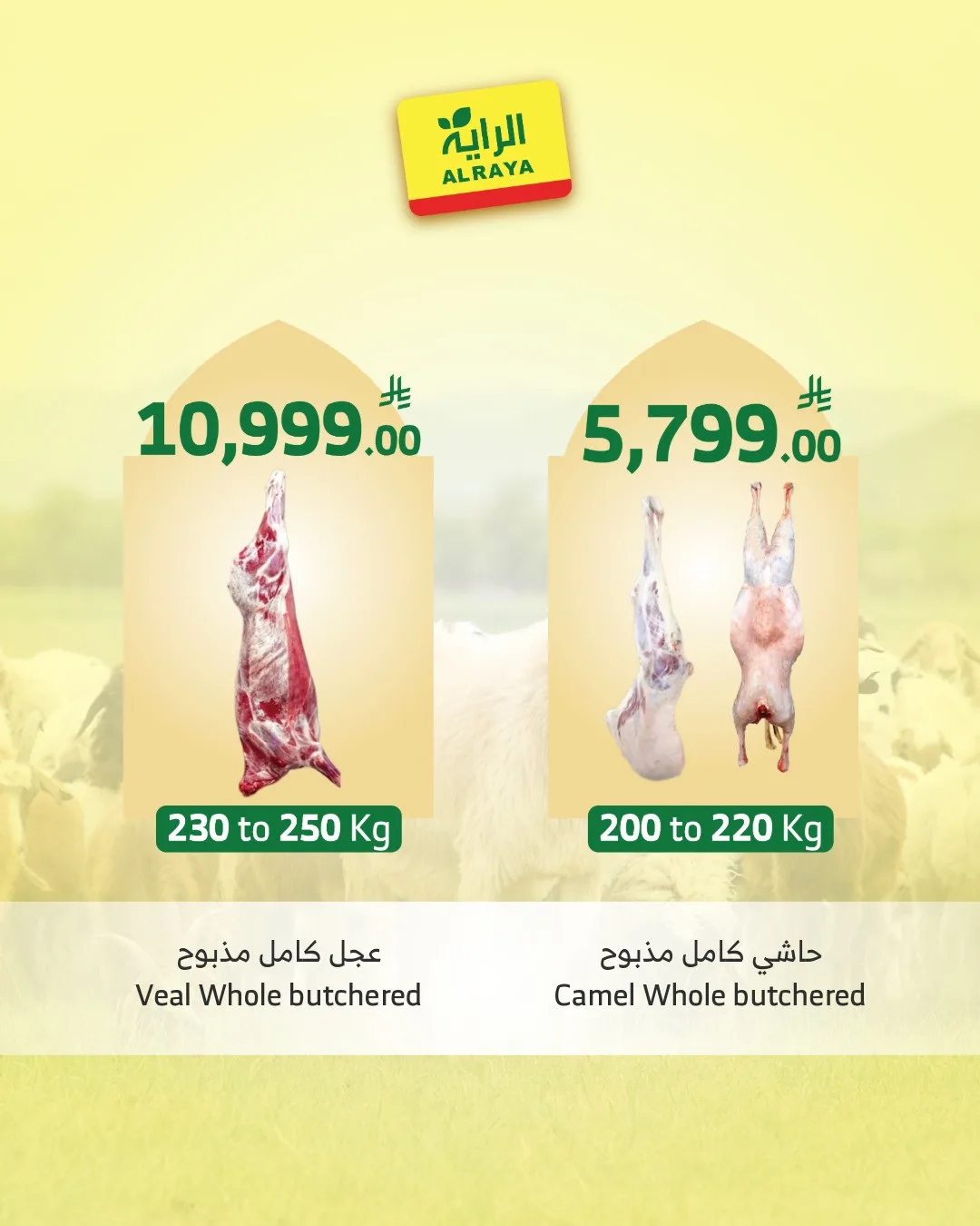 Eid Sacrifice - Jeddah & Makkah from Al Raya until 25th May - Al Raya KSA Offers & Promotions — page 6