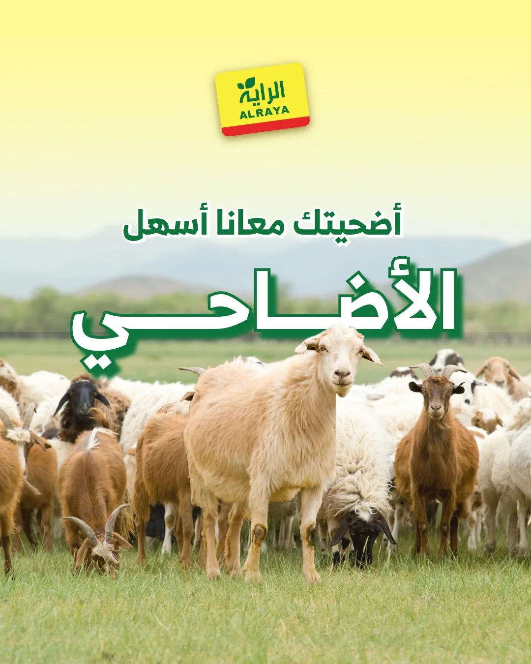 Eid Sacrifice - Jeddah from Al Raya until 25th May - Al Raya KSA Offers & Promotions cover