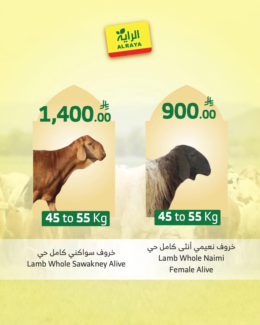 Eid Sacrifice - Jeddah from Al Raya until 25th May - Al Raya KSA Offers & Promotions — page 6