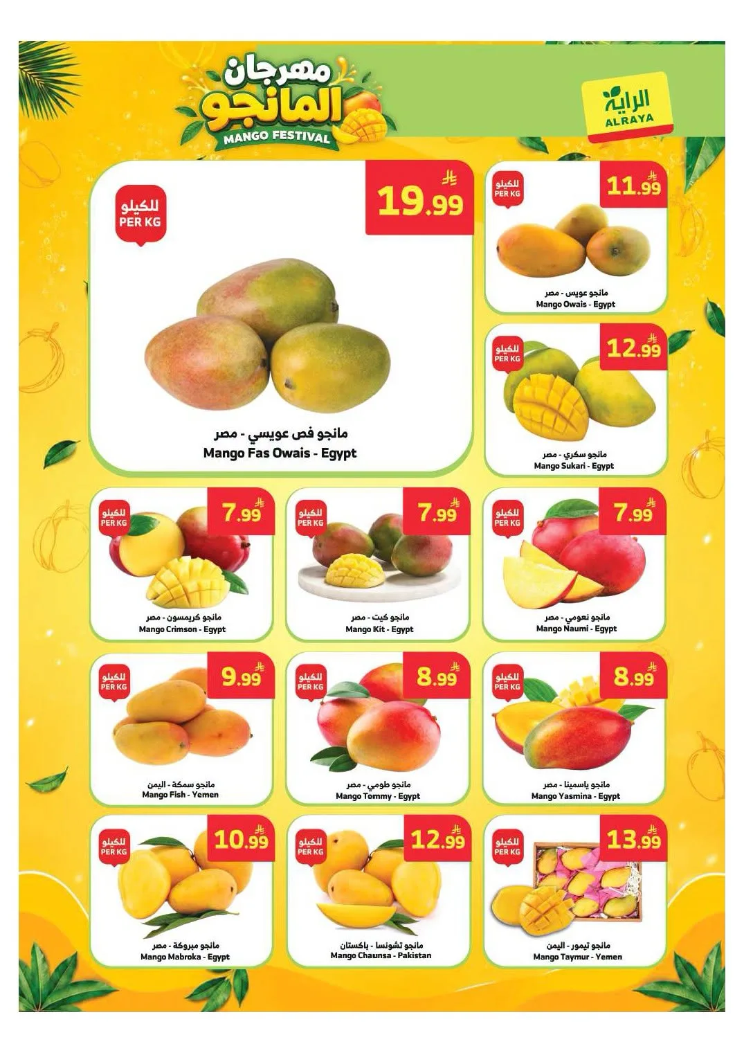 Special Discounts from Al Raya until 4th August - Al Raya KSA Offers & Promotions — page 11