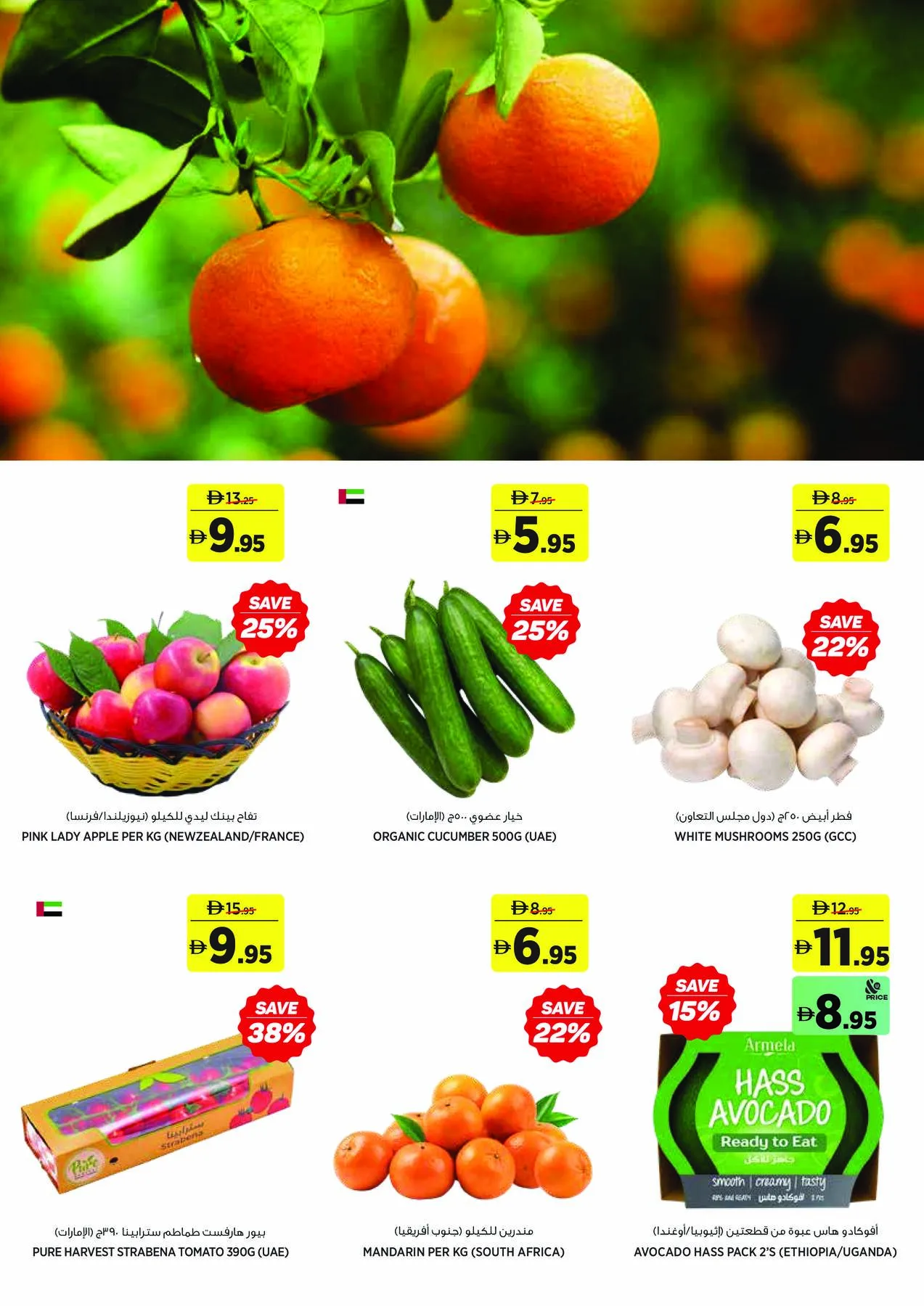 Save More On School Essentials from Aswaaq until 16th August - Aswaaq UAE Offers & Promotions — page 2
