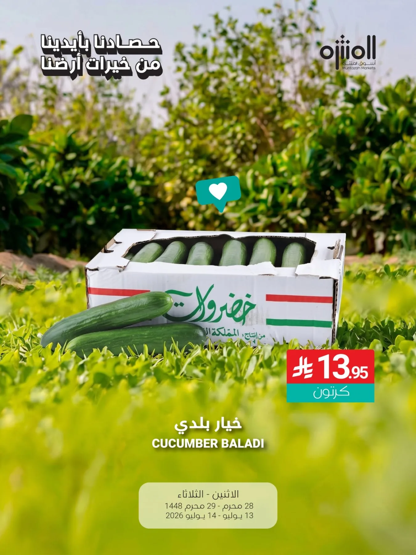 عروض خيرات بلدنا من أسواق المنتزه حتي 14 يوليو - عروض وتخفيضات أسواق المنتزه السعودية — page 5
